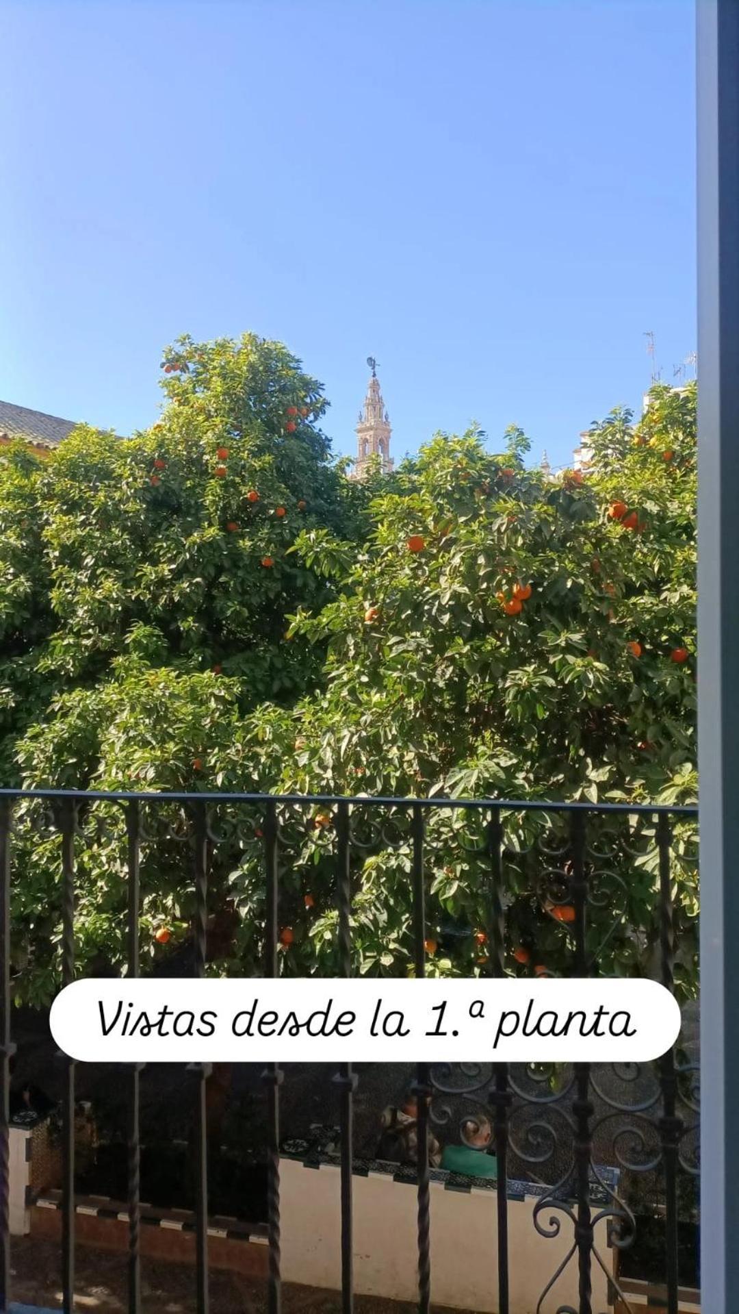 Apartamentos En La Plaza Dona Elvira, 7 Sevilla Exterior foto
